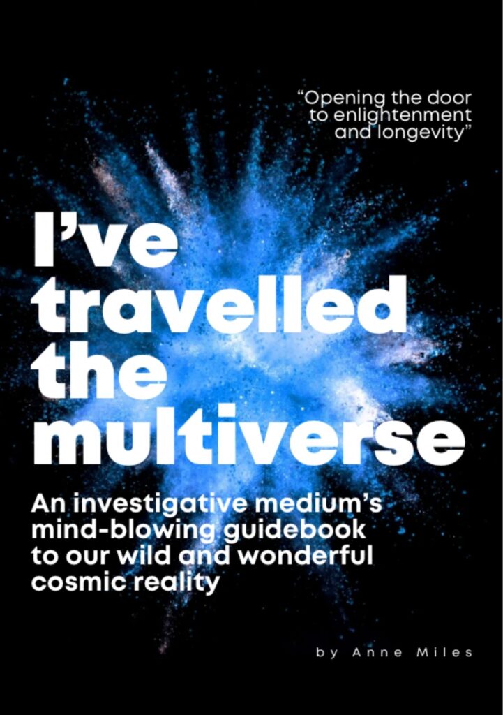 I've travelled the multiverse book by Anne Miles